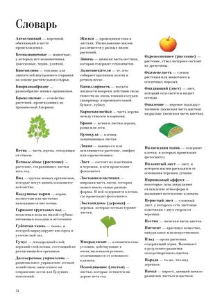 Книга "Большая книга о лесах и деревьях" - Muffinbook - Магазин детских ...