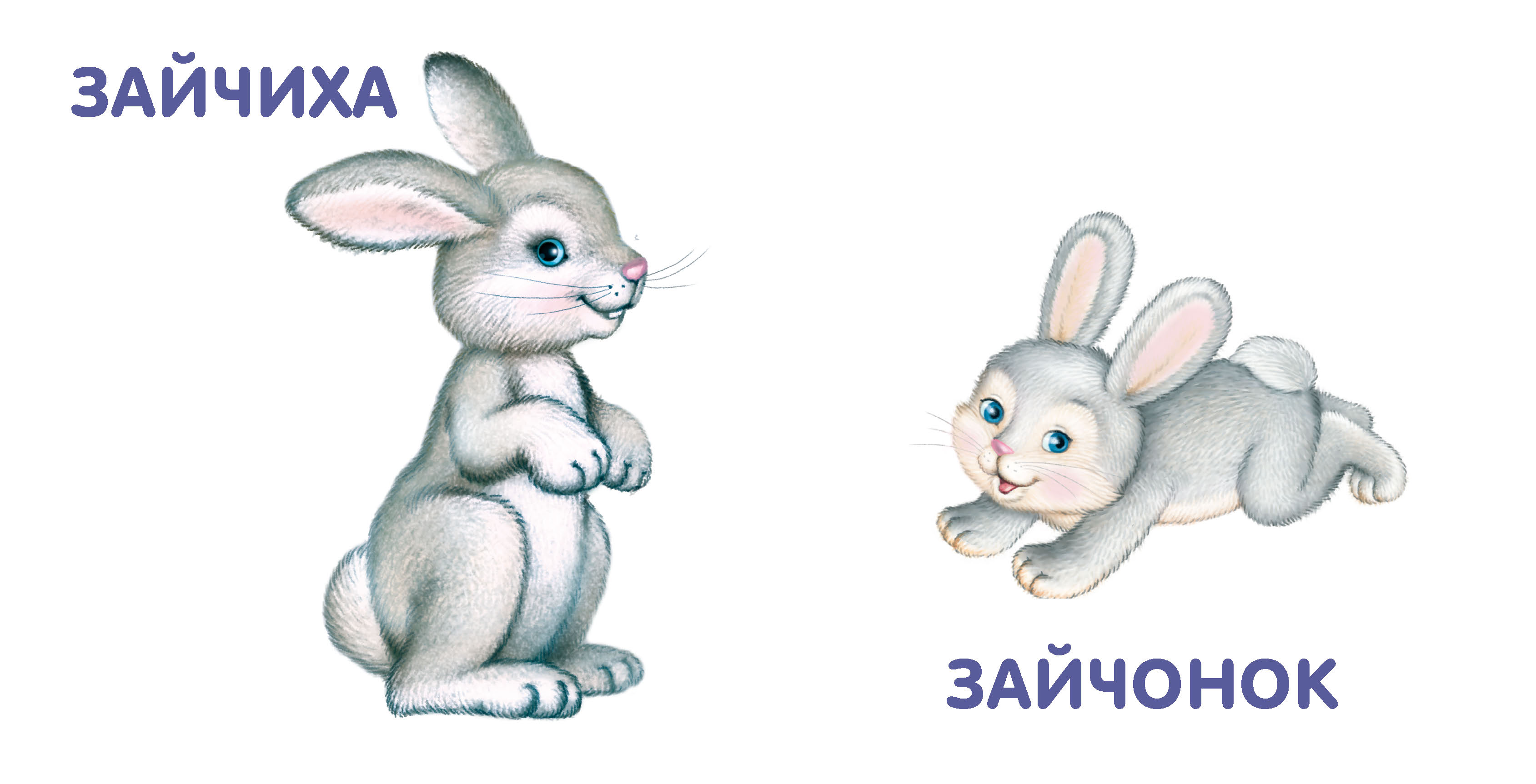 Карточки с изображением зайца