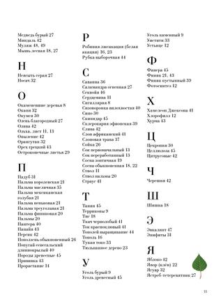 Книга "Большая книга о лесах и деревьях" - Muffinbook - Магазин детских ...
