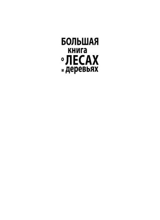 Книга "Большая книга о лесах и деревьях" - Muffinbook - Магазин детских ...