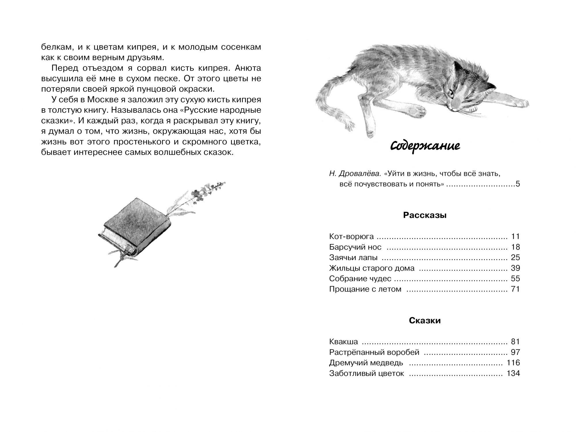 Кот-ворюга Паустовский сколько страниц в книге